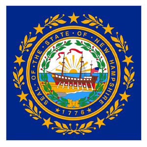 NH state flag icon